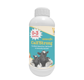 CalfStrong